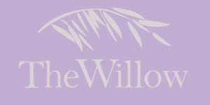 The Willow Center