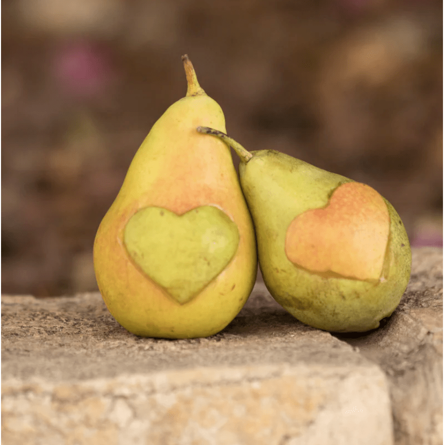 love pears